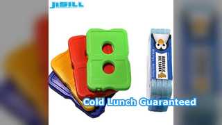 Paket Es Ultra Tipis Menjaga Makanan Tetap Dingin