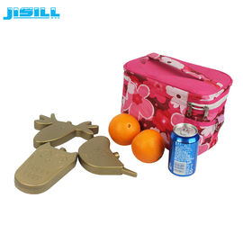 Beli Hot Cold Hard Shell Hdpe Plastik Kartun Ice Pack Lucu Freezer Cooler Packs online manufacture