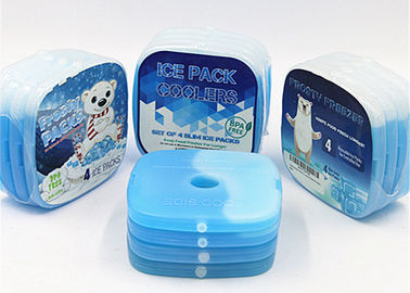 Paket Es Makan Siang Isolasi Hard Single Hole Dengan Elemen Pendingin Gel Mini PCM Untuk Makanan Beku