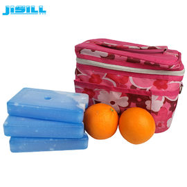FDA Disetujui HDPE Hard Plastic Cooler Gel Ice Pack Camping Makanan Beku Untuk Kantong Pendingin Untuk Makanan Beku