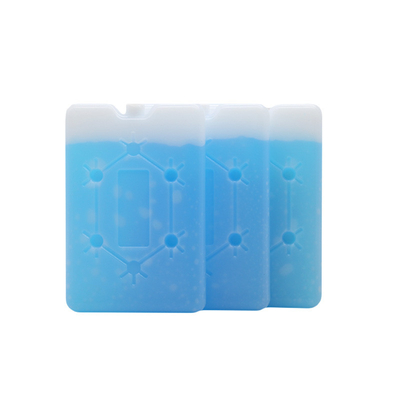 Pabrik Custom Kualitas Tinggi Flat Ice Cooler Brick Lunch Cooler Ice Pack Dengan Snowflake