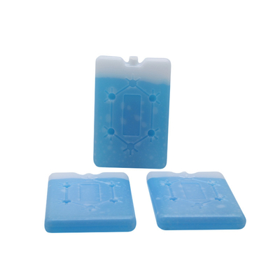 Pabrik Custom Kualitas Tinggi Flat Ice Cooler Brick Lunch Cooler Ice Pack Dengan Snowflake